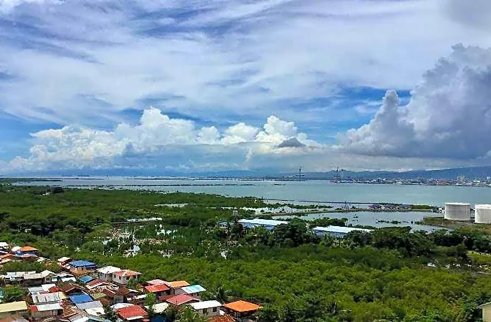 Bh Mangrove Île de Mactan